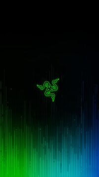 Neon Green Wallpaper 4