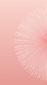 Light Pink Wallpaper 2