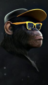 Monkey Wallpaper 3