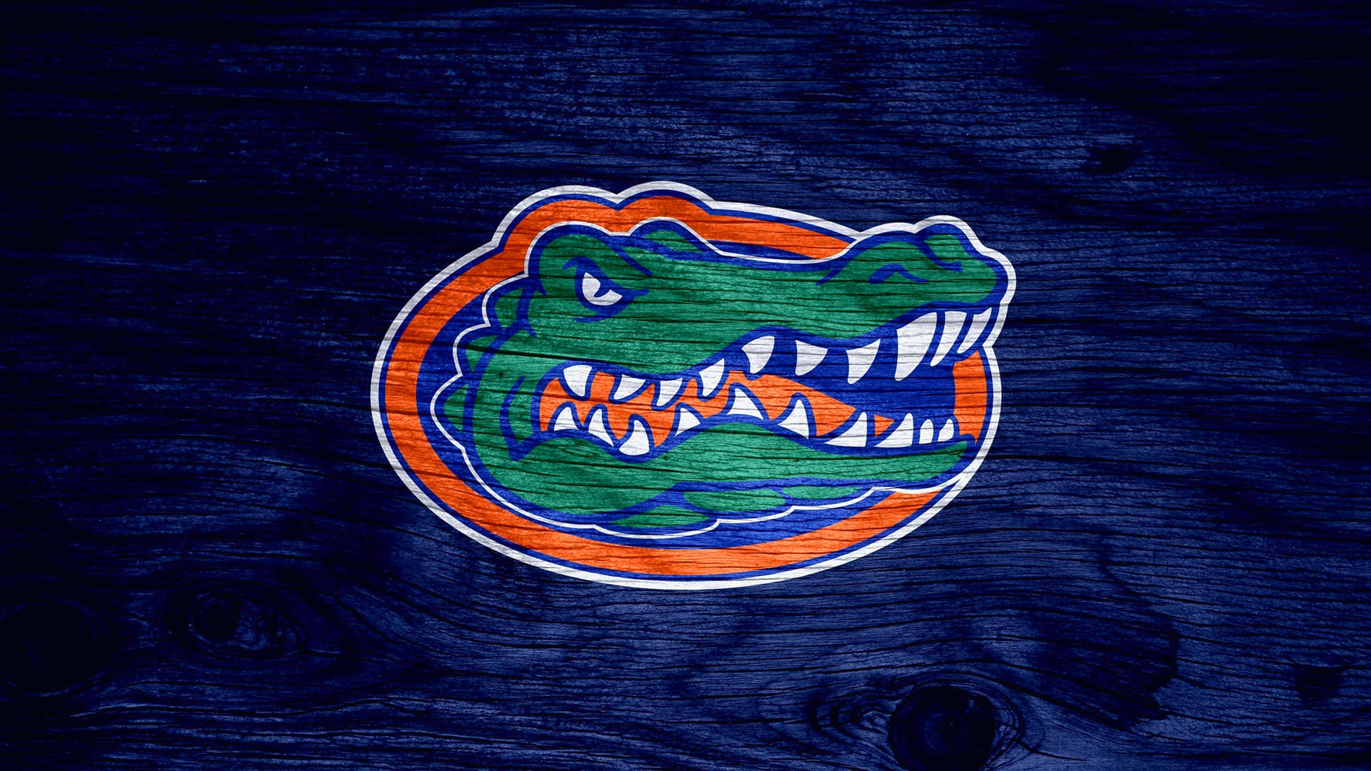 Florida Gators Wallpaper - KoLPaPer - Awesome Free HD Wallpapers