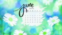 June Calendar 2024 Wallpaper 8