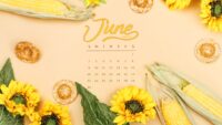 June Calendar 2024 Wallpaper 2