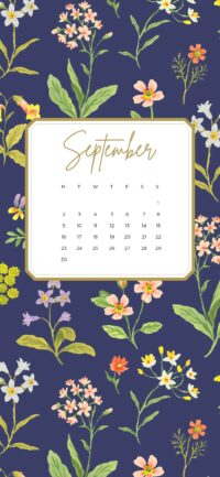 September 2024 Wallpaper 4