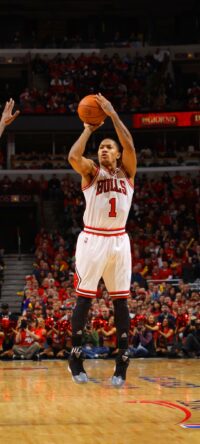 D'rose Wallpaper 3