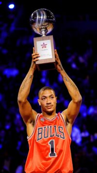 D'rose Wallpaper 9