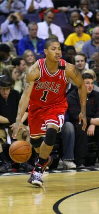 D'rose Wallpaper 6