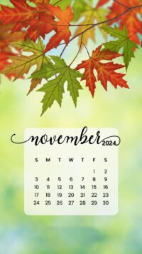 November 2024 Calendar Wallpaper 8