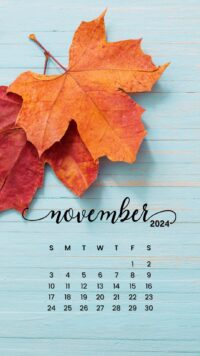 November 2024 Calendar Wallpaper 4