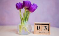 March 2025 Wallpaper 9