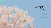 May 2025 Wallpaper 7