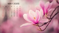 May 2025 Wallpaper 5