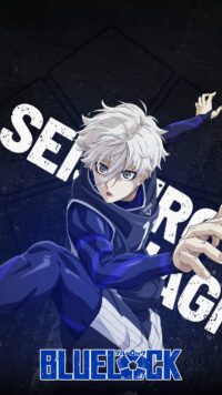 Seishiro Nagi Wallpaper 6