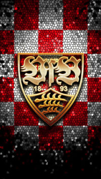 VfB Stuttgart Wallpaper 10